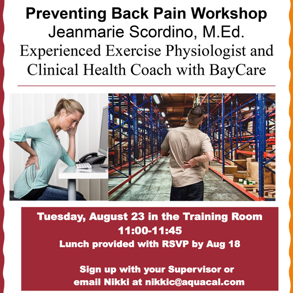Preventing Back Pain Workshop